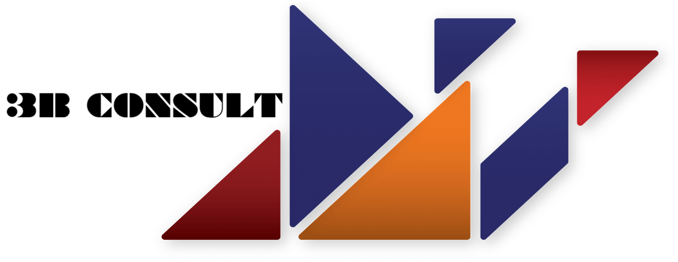 3B Consult BjerreBojsen-(logo)
