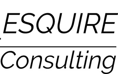 Traveling Esquire Consulting