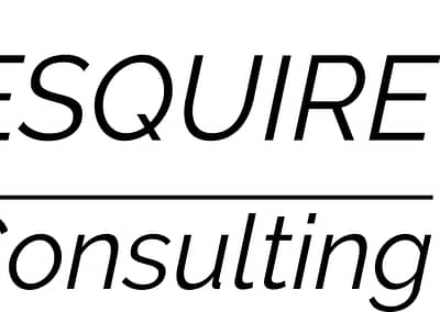Traveling Esquire Consulting